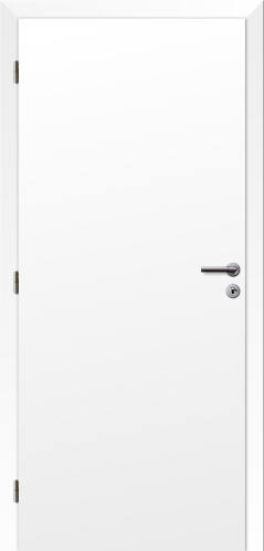 detail Dveře SMART plné lak snow 80 L